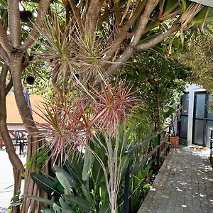Pousada Casa Da Noiva Guarulhos